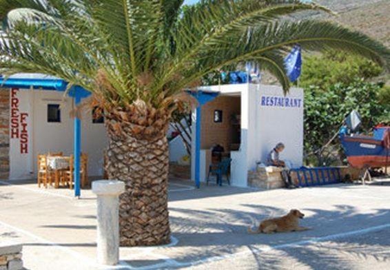 ホテル Koukos Agia Theodoti エクステリア 写真